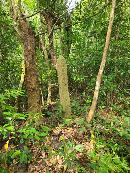 挑炭古道(三通嶺古道)+慈濟山步道2780423