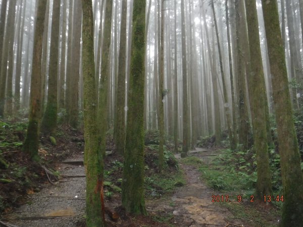 20170902_屏遮那山二萬坪868238