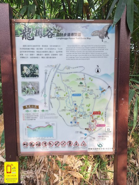 桃源里森林步道+龍鳳谷步道+坑子內山202509062880242