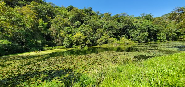 2022-07-23福山植物園1772935