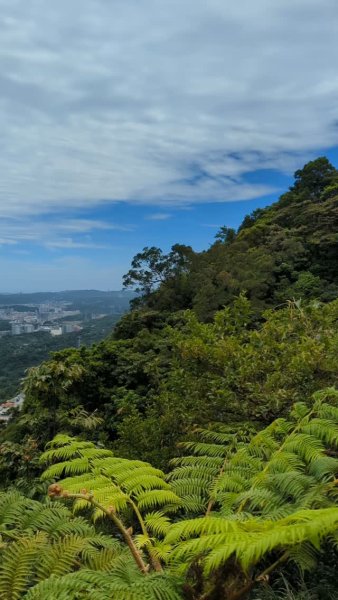 汐止大尖山3090601