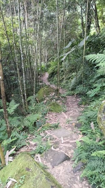 20251004 馬那邦山 - 珠湖 登山口2904789