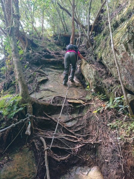 那結山（嘎色鬧部落線）893424