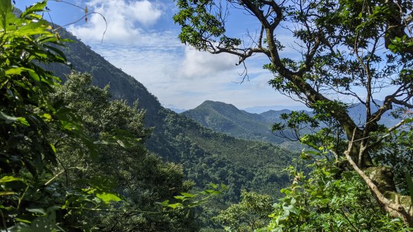 關仔嶺大凍山步道1448308