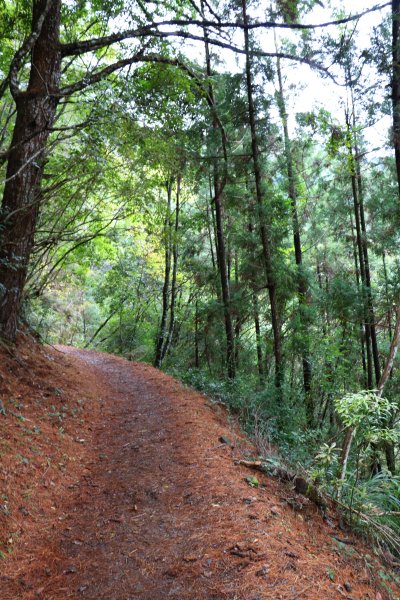 山迢路遠~霞喀羅國家步道785956