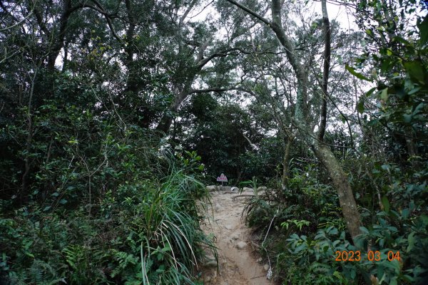 新竹 芎林 飛鳳山、中坑山、大板根、石壁潭山2052611