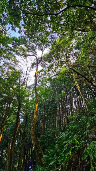 112.04.08 油羅山2123557