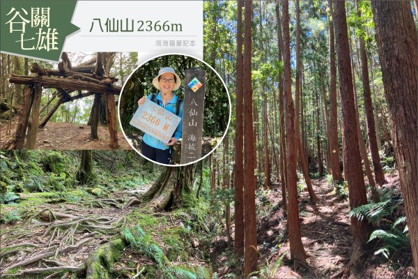 【谷關七雄】八仙山主峰步道2894854