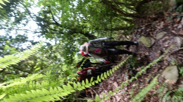 雙龍林道上巒安堂西巒大山1778708