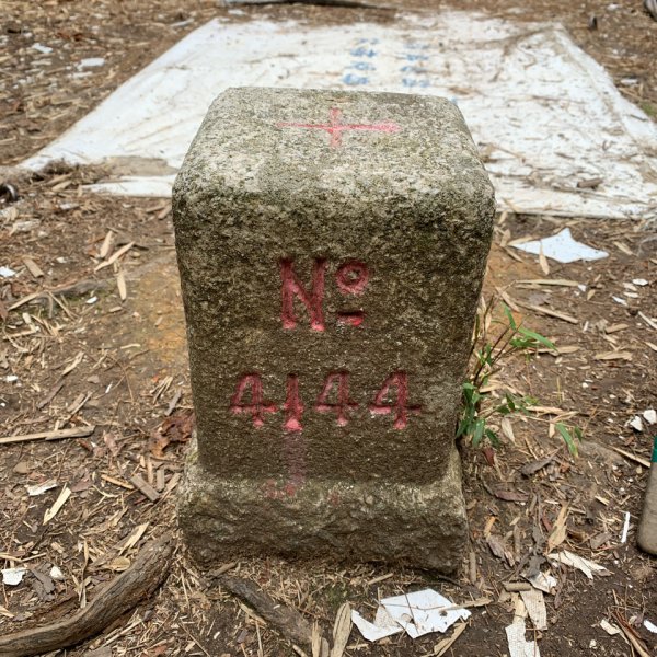 20250517義義兒玉山-東水山2791626