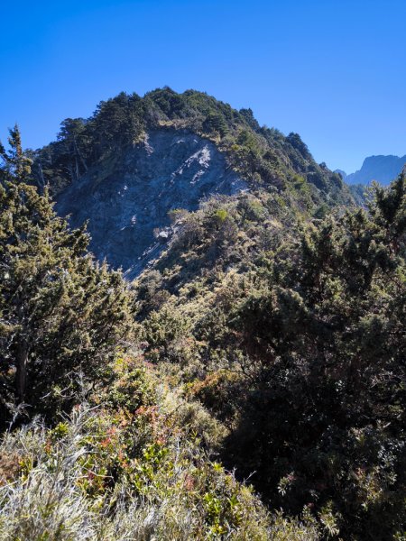 2026-02-09 庫哈諾辛山2998974