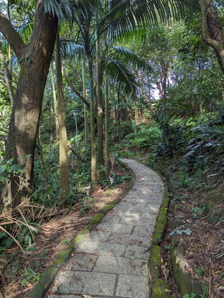 2023-08-26 臺北大縱走第六段2792735