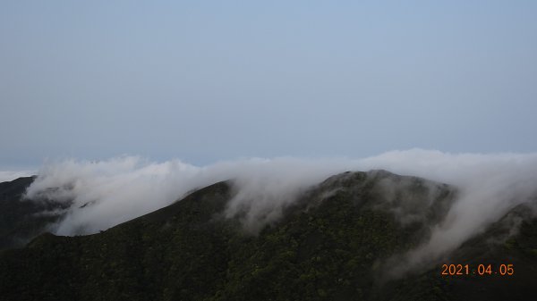 0405陽明山再見雲瀑，今年以來最滿意的一次1335463