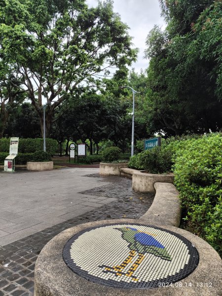 大安森林公園、瑞陽公園、大港墘公園、宏匯瑞光廣場【走路趣尋寶】【臺北健走趣】2574709