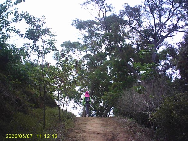 苗栗頭份「鹿廚坑步道」健走，順道拜訪濫坑山、鹿廚坑山、中央尖！3079129