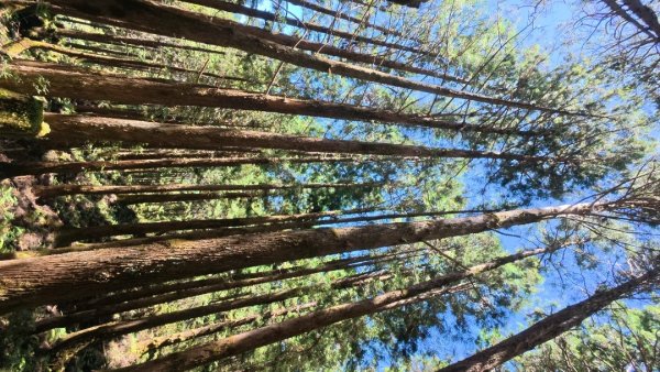 太平之旅 三星山/翠峰湖/見晴2873342