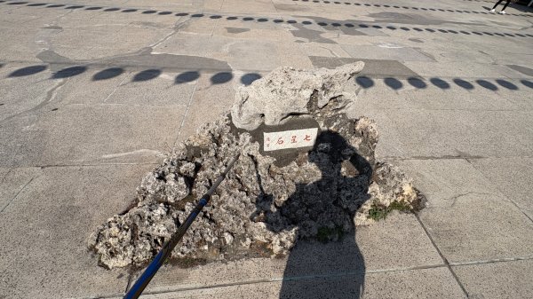 尋仙、鑽洞、啖肥雞3002782