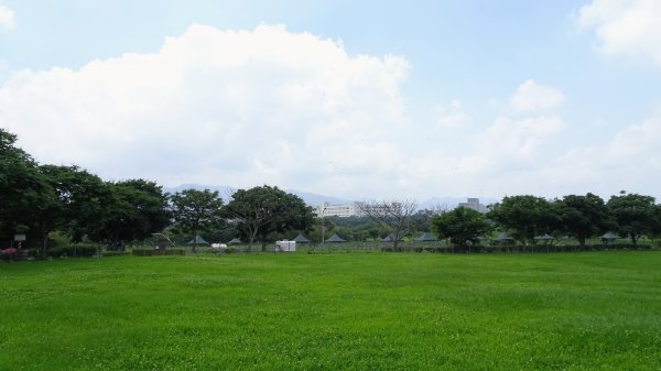 山佳荷花池2172756