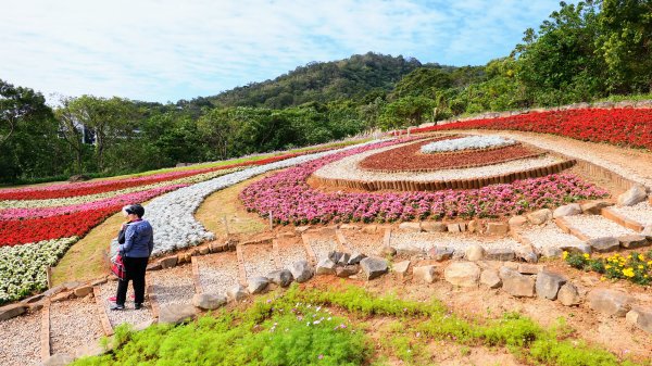 三層崎的呢喃2692137