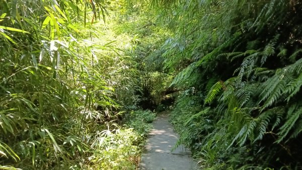 基隆市寶明寺-紅淡山-基隆廟口(吃)3085842