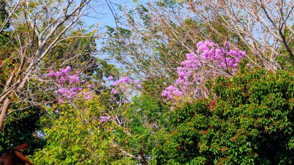 台南知事官邸等3002001