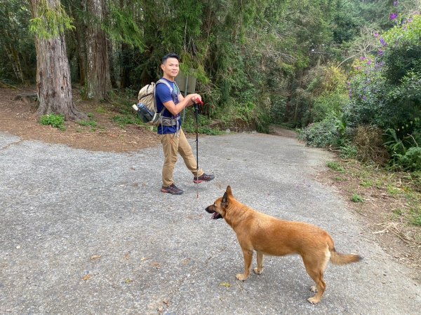 望鄉部落.獵人古道.望美山.瓊山【人與自然山林的恩怨情仇】2731378