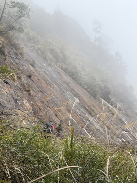 【沒有】【倚天劍】2985264