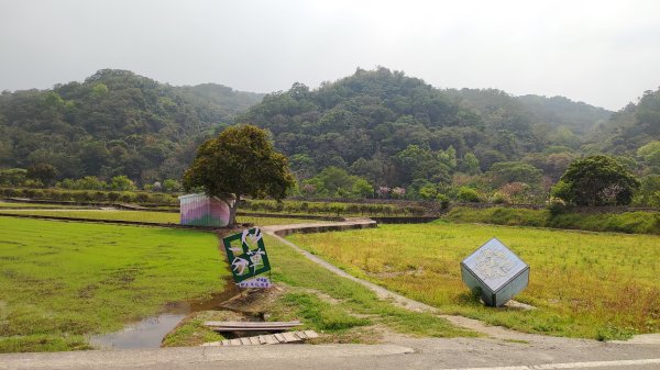 2026樟之細路 | 第二大段 | 關西~橫山3041811