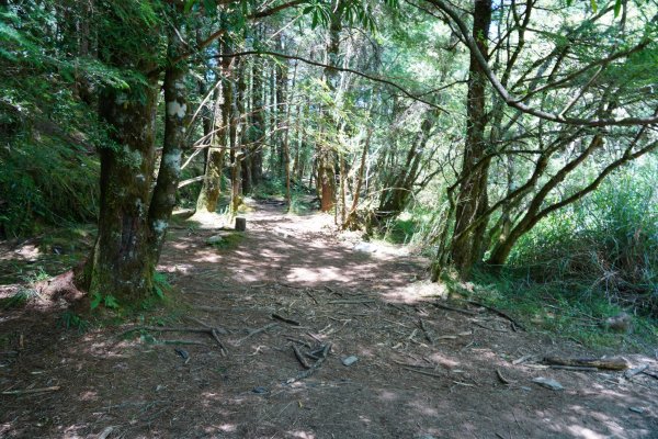 南橫三星 | 前緣再續。關山風月登庫哈諾辛、塔關山順訪中之關。1780117