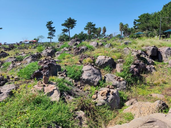 韓國濟州島：柱狀節理带2912133