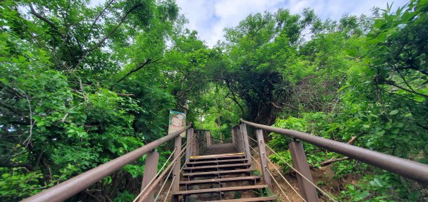 2024-05-18北柴山登山步道2507862