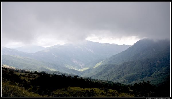 小奇萊步道賞高山杜鵑封面