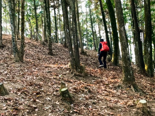 埔里蜈蚣崙走板仔寮山535430