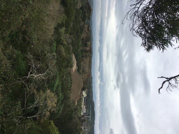 公司寮山（水🐃城2736457