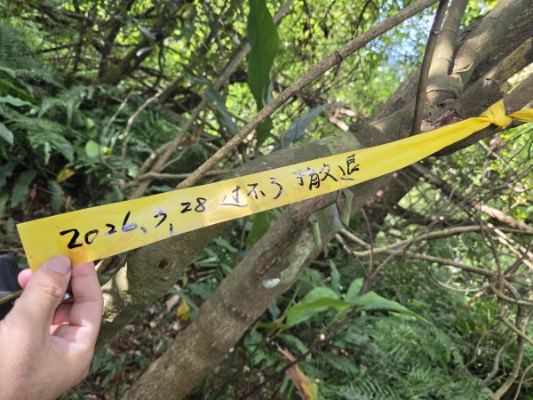 20260526萬順寮山-龍谷山主東峰3065797