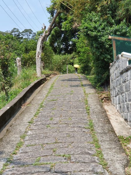 福隆山+硬漢嶺~雙步道連走956817