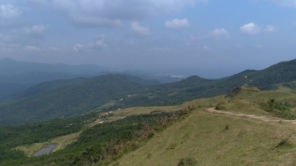 青山藍海水牛群，桃源谷＋小百岳灣坑頭山714390