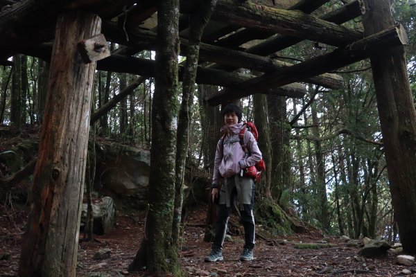 2020-12-12 八仙山1216304