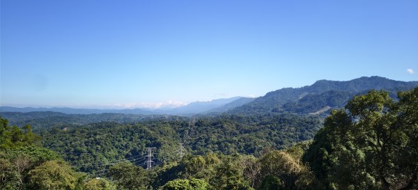 2025/11/22_大分林山步道2944211