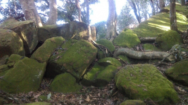 20160229新竹關西蓮苞山,外鳥嘴山31333