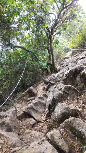 [台南.南化]龍麟山步道--登王爺崙山.賞龍麟奇岩92241