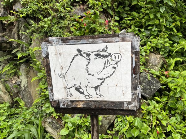 [皮皮獅探險隊-08/10] 2025_0719 李崠山步道2842963