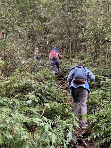 20251220嘉義凸龜山-芙蓉山-天福山2973801