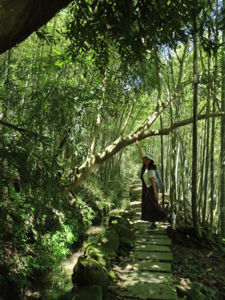 小半天孟宗竹林古戰場+長源圳生態步道Ｏ形2877863