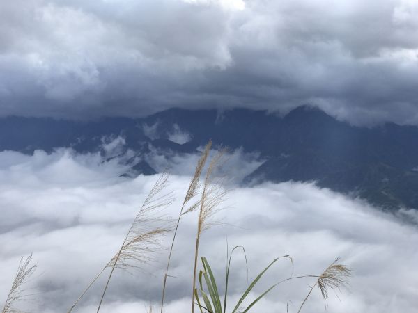 走馬郡大山103915