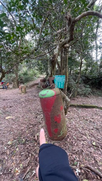 苗栗三義銅鑼三員縱走-三角山-員屯山2650207