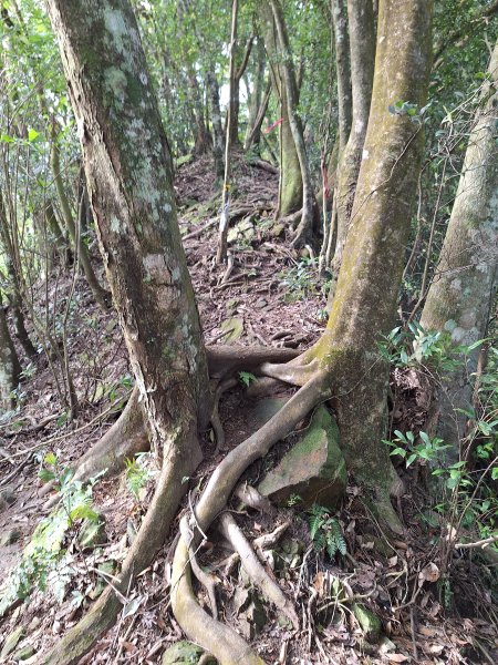 仙山古道群峰O型2693645