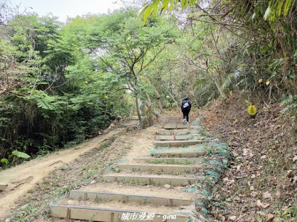 【台中太平】小百岳三汀山3027088