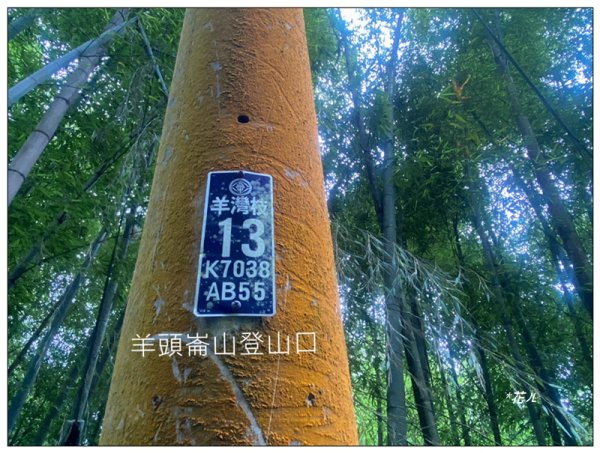 樟空倫山、大崙頭山、貓冬望山、民眾坪山 連走2839034