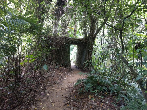 黎和生態公園→富陽自然生態公園→中埔山/東峰→福州山→富陽自然生態公園1438410